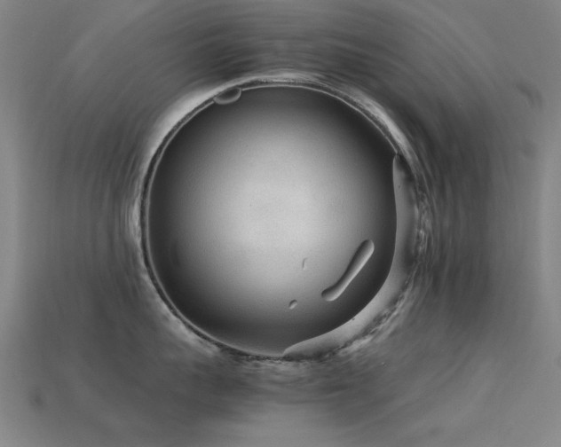 X0000113290959200909141201