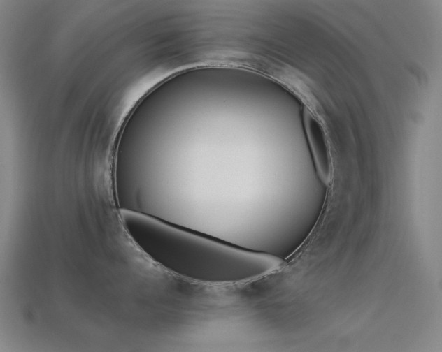 X0000113290960200909141201