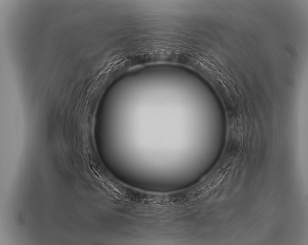 X0000113290961200909141201