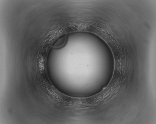 X0000113290962200909141201