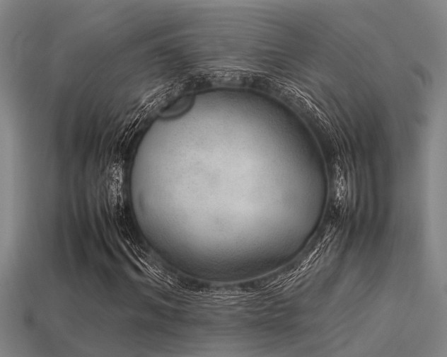 X0000113290964200909141201