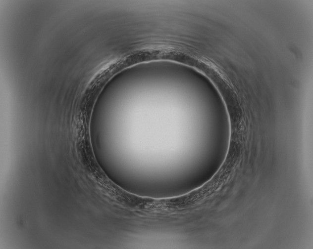 X0000113290967200909141201