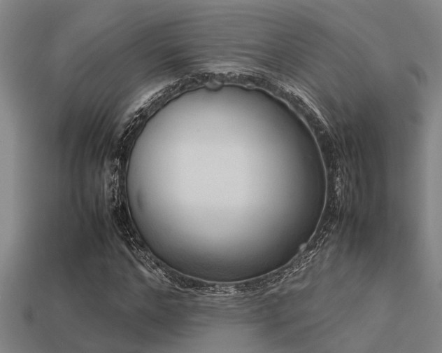 X0000113290968200909141201