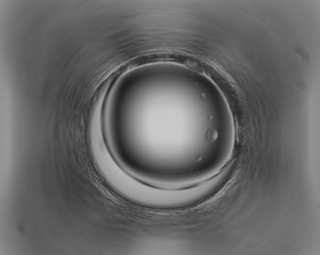 X0000113290969200909141201