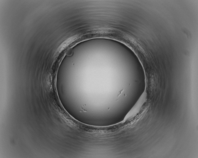 X0000113290970200909141201