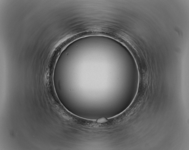 X0000113290971200909141201