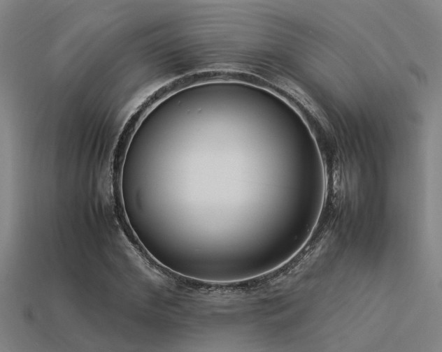 X0000113290972200909141201