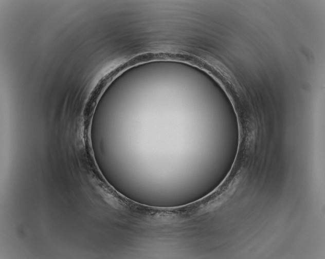 X0000113290974200909141201