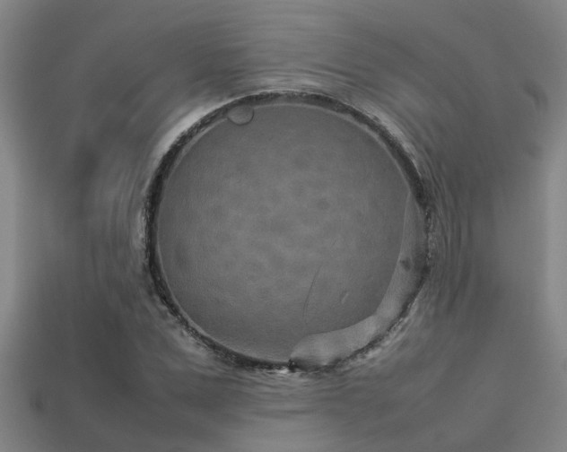 X0000113290975200909141201