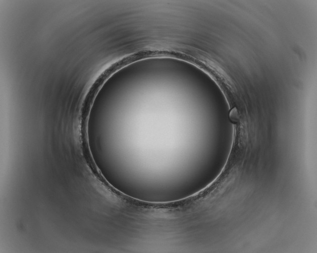 X0000113290976200909141201