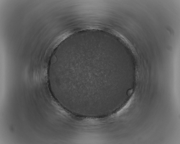 X0000113290977200909141201