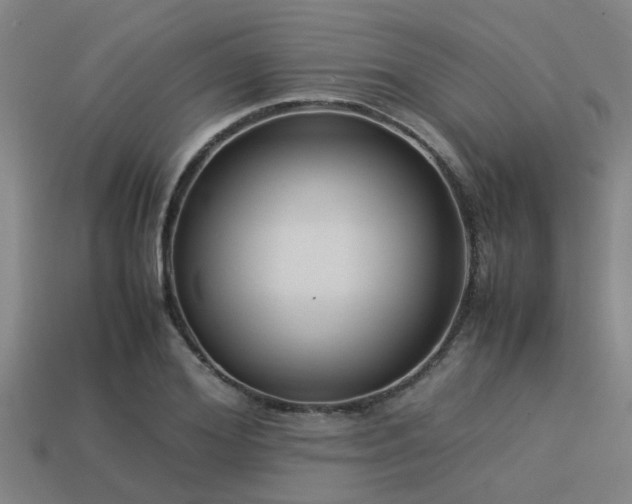 X0000113290980200909141201