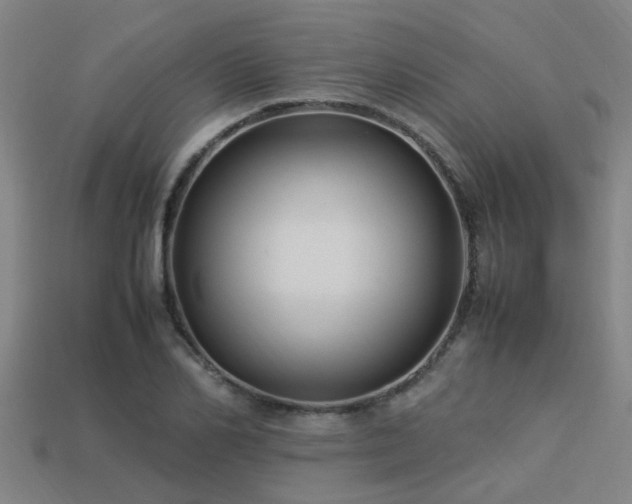 X0000113290982200909141201