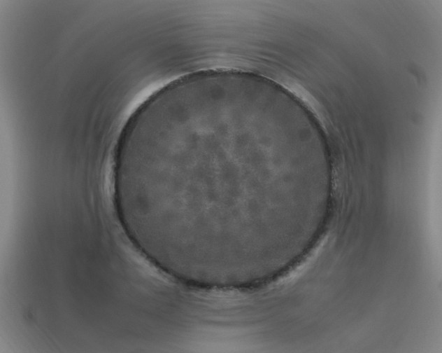 X0000113290983200909141201