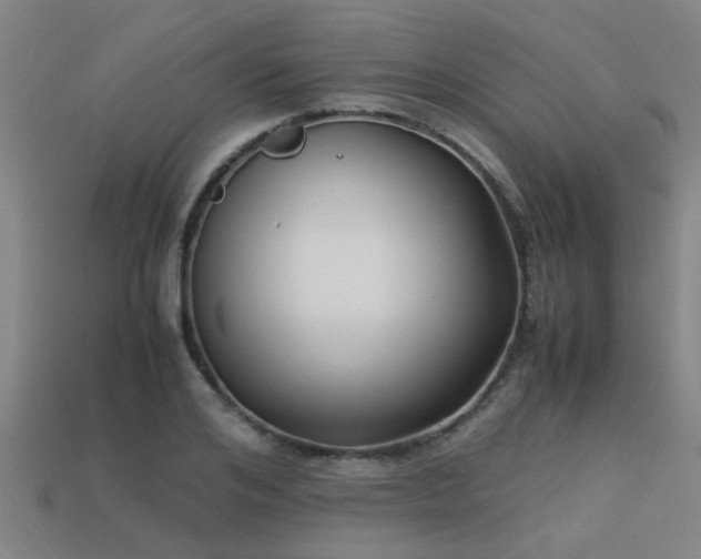 X0000113290984200909141201