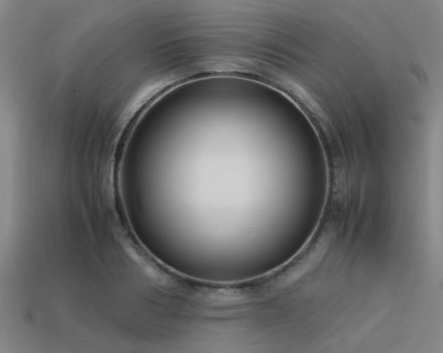 X0000113290986200909141201