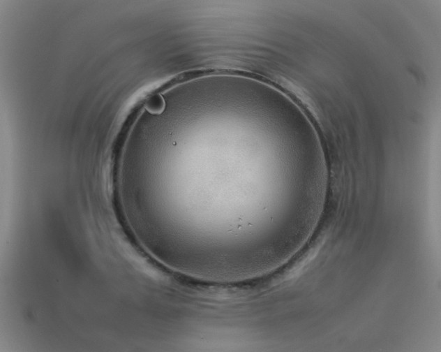 X0000113290987200909141200