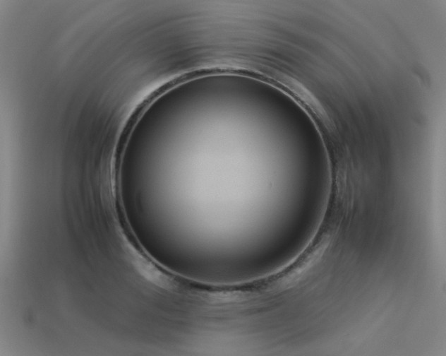 X0000113290988200909141200