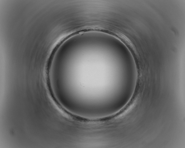 X0000113290989200909141200