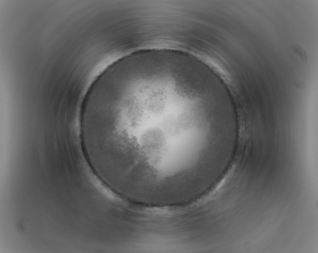 X0000113290990200909141200