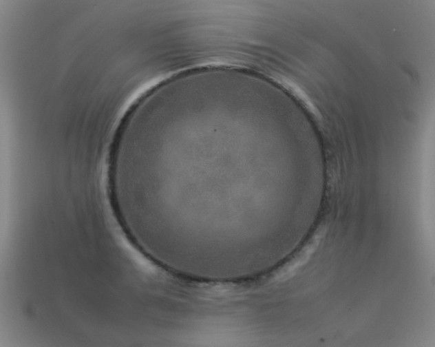 X0000113290991200909141200