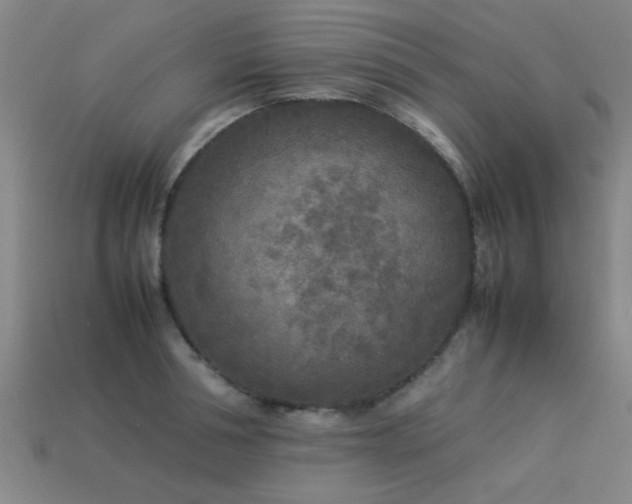 X0000113290994200909141200