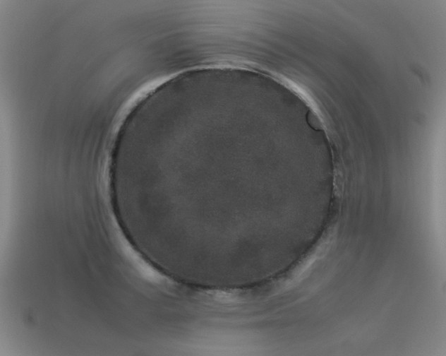 X0000113290995200909141200