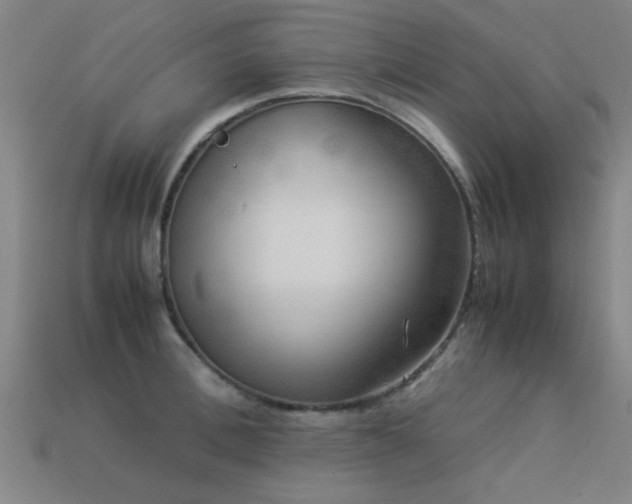 X0000113290996200909141200