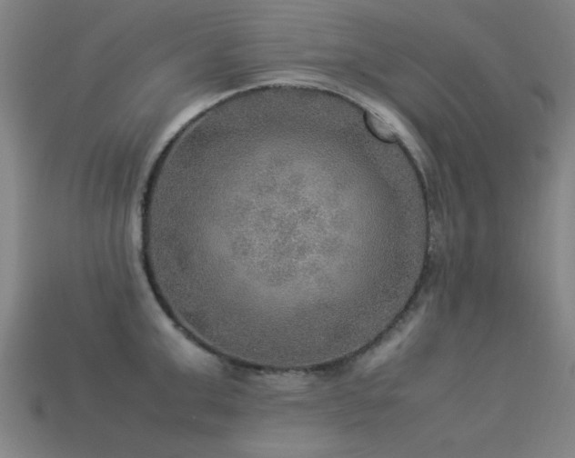 X0000113290999200909141200