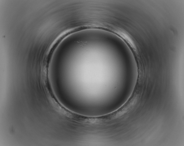 X0000113291000200909141200