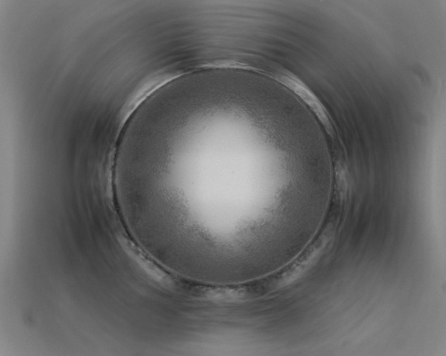 X0000113291002200909141200