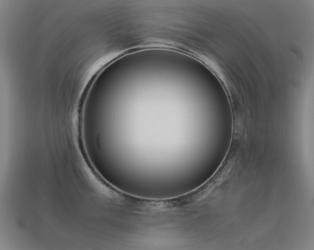 X0000113291003200909141200