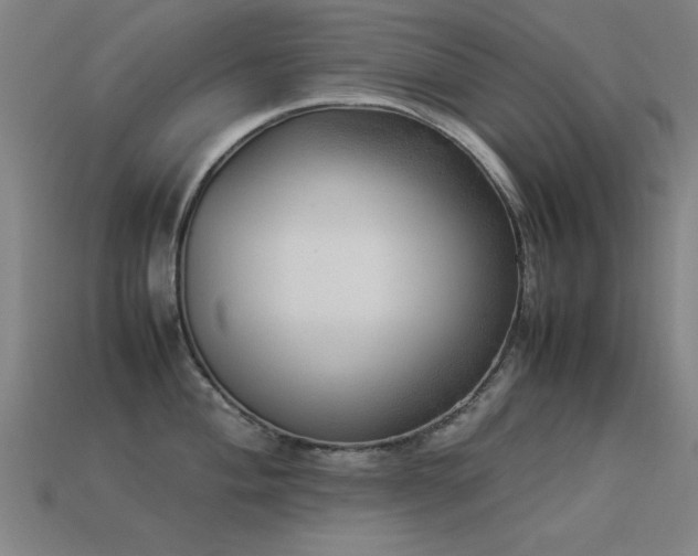 X0000113291004200909141200