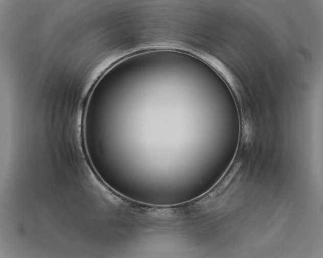 X0000113291006200909141200