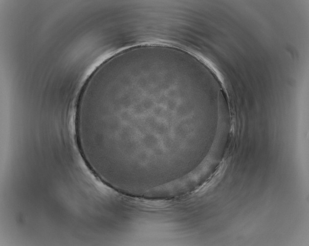 X0000113291007200909141200