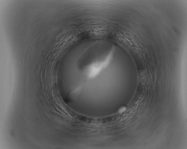 X0000113291009200909141159