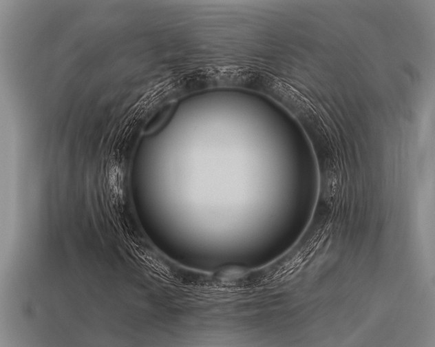 X0000113291010200909141200