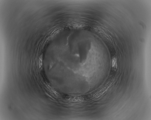 X0000113291011200909141200