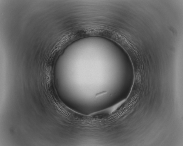 X0000113291012200909141200