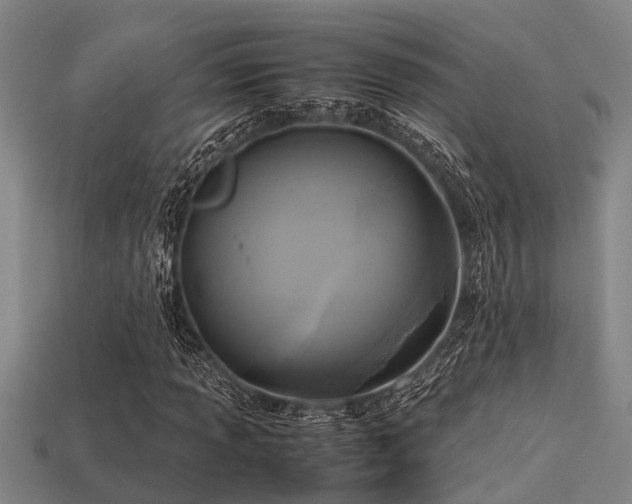 X0000113291013200909141200