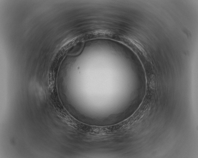 X0000113291015200909141200