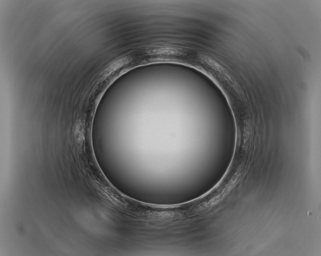 X0000113291017200909141200