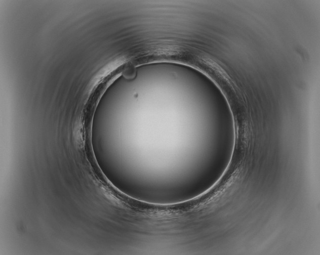 X0000113291018200909141200