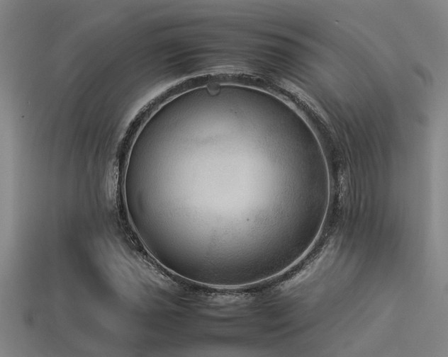 X0000113291021200909141200