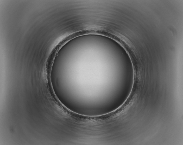 X0000113291022200909141200