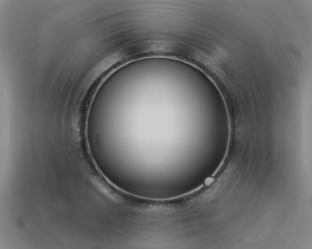 X0000113291026200909141200