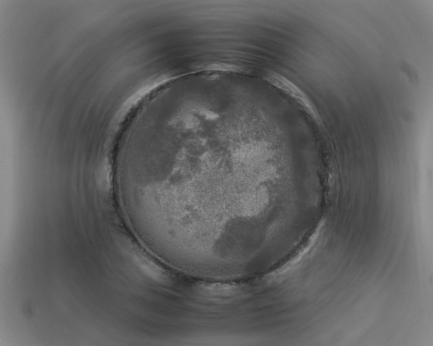 X0000113291027200909141200