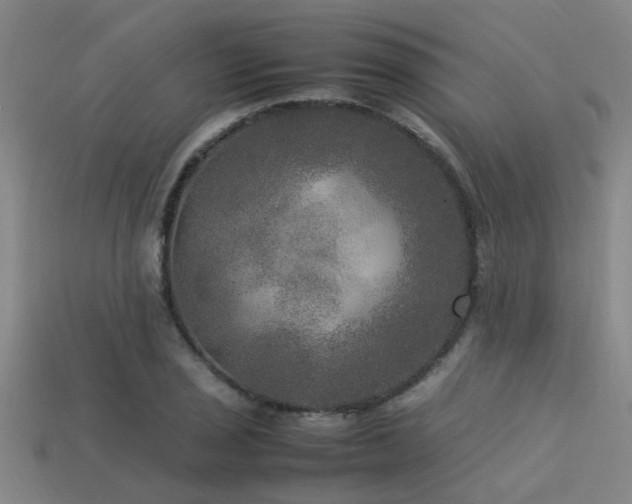 X0000113291029200909141200