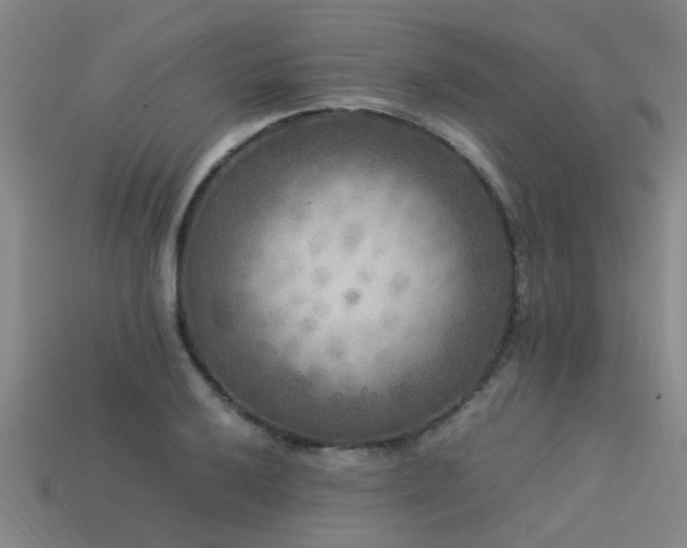 X0000113291032200909141200