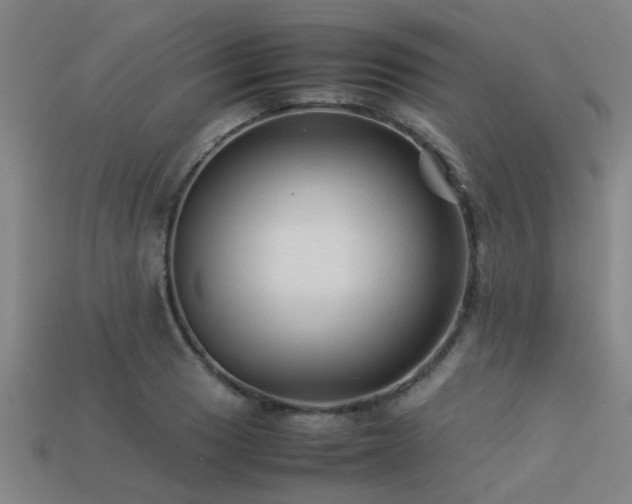 X0000113291033200909141200